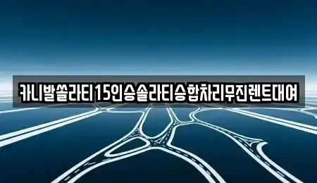 경상남도 김해시 서상동 렌트카 전문 카니발쏠라티15인승솔라티승합차리무진렌트대여