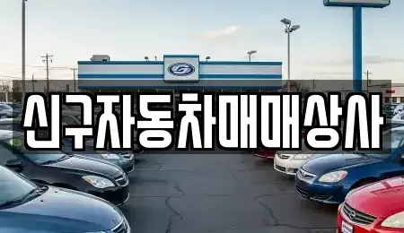 경상남도 사천시 신수동 중고차 전문 신구자동차매매상사