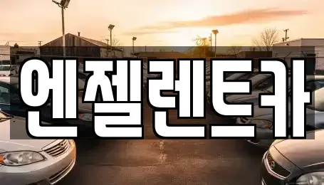 경상남도 창원시 마산합포구 교원동 렌트카 전문 엔젤렌트카