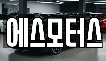 경상남도 창원시 마산합포구 교원동 중고차매매 전문 에스모터스