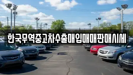 경상남도 창원시 마산합포구 교원동 중고차매매 전문 한국무역중고차수출매입매매판매시세
