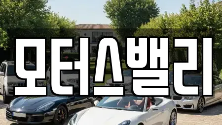 경상남도 창원시 마산회원구 양덕동 중고차 전문 모터스밸리