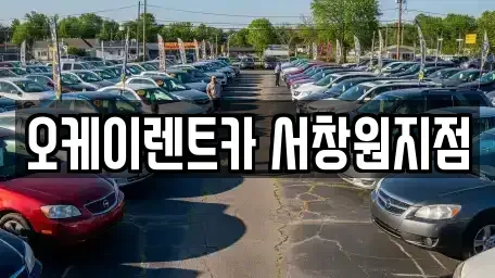 경상남도 창원시 마산회원구 회성동 렌트카 전문 오케이렌트카 서창원지점