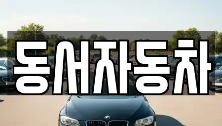 경상남도 창원시 진해구 인의동 중고차매매 전문 동서자동차