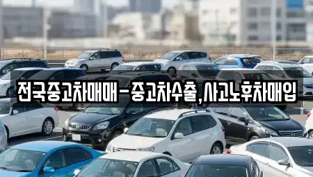 경상남도 창원시 진해구 인의동 중고차매입 전문 전국중고차매매-중고차수출,사고노후차매입
