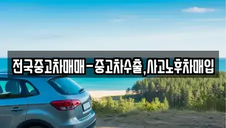 경상북도 안동시 평화동 중고차매매 전문 전국중고차매매-중고차수출,사고노후차매입