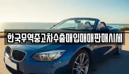 경상북도 안동시 평화동 중고차매매 전문 한국무역중고차수출매입매매판매시세