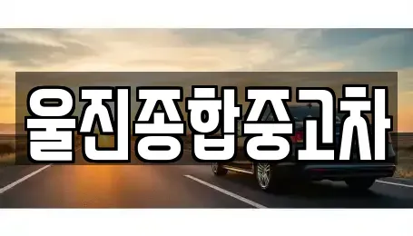 경상북도 울진군 중고차매매 전문 울진종합중고차