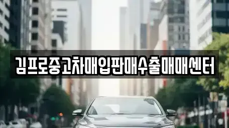 광주광역시 동구 금동 중고차 전문 김프로중고차매입판매수출매매센터
