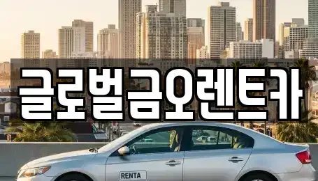 대구 수성구 수성동3가 렌트카 전문 글로벌금오렌트카