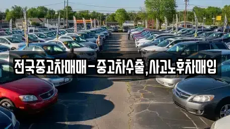 대구 수성구 수성동3가 중고차매매 전문 전국중고차매매-중고차수출,사고노후차매입