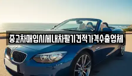 대구 수성구 수성동3가 중고차매입 전문 중고차매입시세내차팔기견적가격수출업체