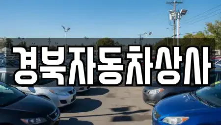 대구광역시 달서구 본리동 중고차매매,단기렌트카,중고차매입,장기렌트카,중고차,렌트카