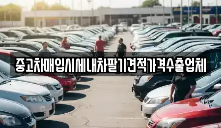 대구광역시 달서구 본리동 중고차매매 전문 중고차매입시세내차팔기견적가격수출업체