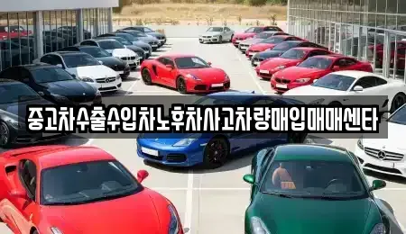 대구광역시 달서구 본리동 중고차매매 전문 중고차수출수입차노후차사고차량매입매매센타