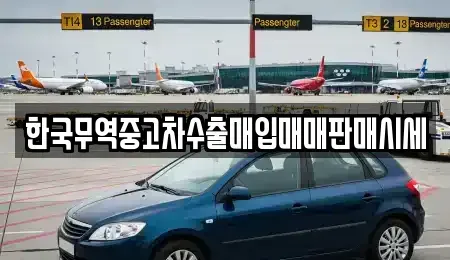 대구광역시 달서구 본리동 중고차매매 전문 한국무역중고차수출매입매매판매시세