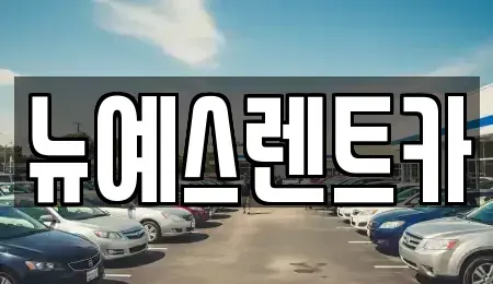 대구광역시 서구 원대동1가 렌트카,단기렌트카,장기렌트카,중고차,중고차매매,중고차매입