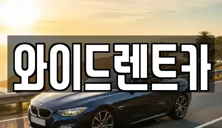 대구광역시 서구 원대동1가 렌트카 전문 와이드렌트카