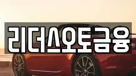 대구광역시 서구 원대동1가 장기렌트카 전문 리더스오토금융