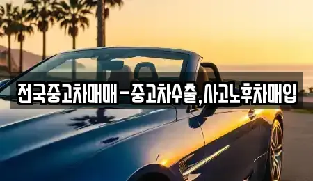 대구광역시 서구 원대동1가 중고차 전문 전국중고차매매-중고차수출,사고노후차매입