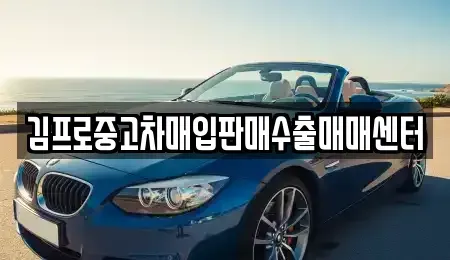대구광역시 서구 원대동1가 중고차매입 전문 김프로중고차매입판매수출매매센터