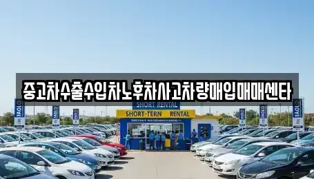대전 대덕구 송촌동 중고차 전문 중고차수출수입차노후차사고차량매입매매센타