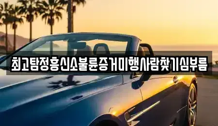 대전 대덕구 송촌동 중고차 전문 최고탐정흥신소불륜증거미행사람찾기심부름