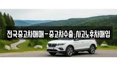 대전 동구 천동 중고차 전문 전국중고차매매-중고차수출,사고노후차매입