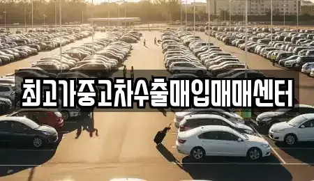 대전 동구 천동 중고차매입 전문 최고가중고차수출매입매매센터