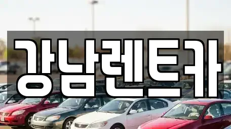 대전광역시 대덕구 송촌동 렌트카 전문 강남렌트카