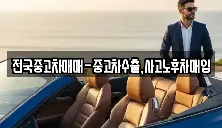 대전광역시 대덕구 송촌동 중고차 전문 전국중고차매매-중고차수출,사고노후차매입