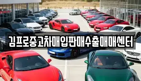 대전광역시 대덕구 송촌동 중고차매매 전문 김프로중고차매입판매수출매매센터