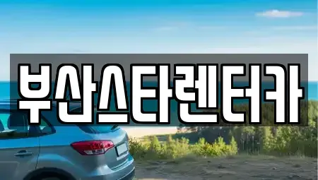 부산광역시 금정구 남산동 렌트카 전문 부산스타렌터카