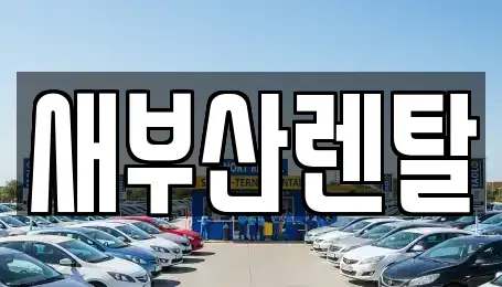 부산광역시 금정구 남산동 렌트카 전문 새부산렌탈