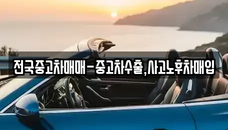 부산광역시 금정구 남산동 중고차매입 전문 전국중고차매매-중고차수출,사고노후차매입