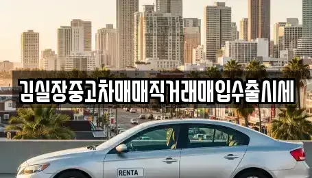 서울 강서구 공항동 중고차 전문 김실장중고차매매직거래매입수출시세