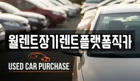 서울 서대문구 현저동 장기렌트카 전문 월렌트장기렌트플랫폼직카