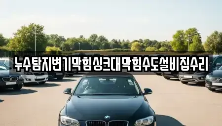 서울 서대문구 현저동 중고차 전문 누수탐지변기막힘싱크대막힘수도설비집수리