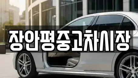 서울 서대문구 현저동 중고차매매 전문 장안평중고차시장