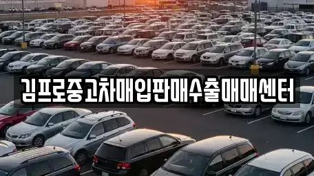 서울 서대문구 현저동 중고차매입 전문 김프로중고차매입판매수출매매센터
