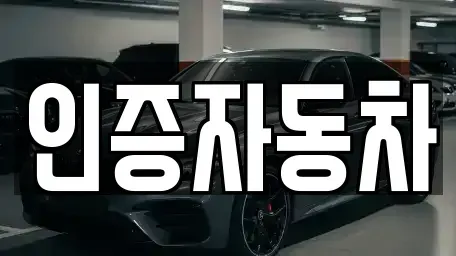 서울 성동구 성수동1가 중고차 전문 인증자동차