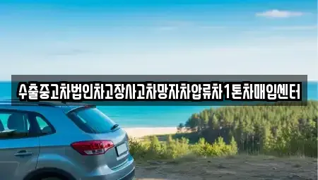 서울 성북구 동소문동1가 중고차 전문 수출중고차법인차고장사고차망자차압류차1톤차매입센터