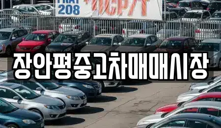 서울 성북구 동소문동1가 중고차 전문 장안평중고차매매시장