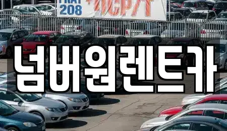 서울 송파구 단기렌트카 전문 넘버원렌트카