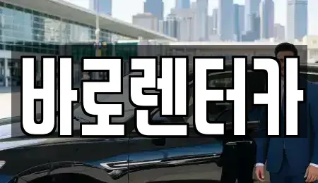 서울 송파구 단기렌트카 전문 바로렌터카