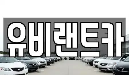 서울 송파구 단기렌트카 전문 유비랜트카