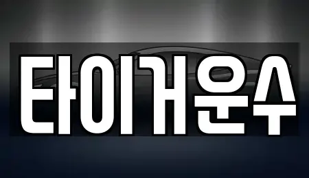 서울 송파구 단기렌트카 전문 타이거운수