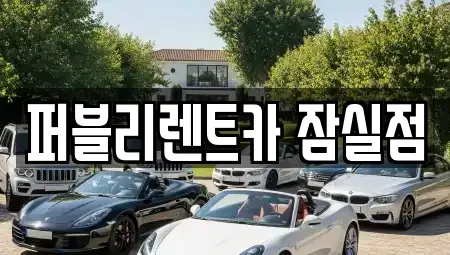 서울 송파구 렌트카 전문 퍼블리렌트카 잠실점