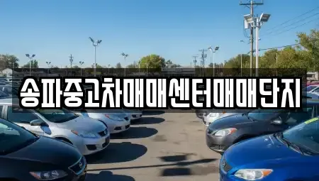 서울 송파구 중고차 전문 송파중고차매매센터매매단지