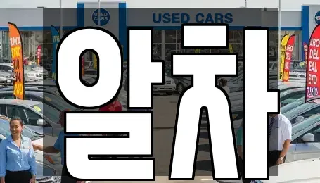 서울 송파구 중고차 전문 알차